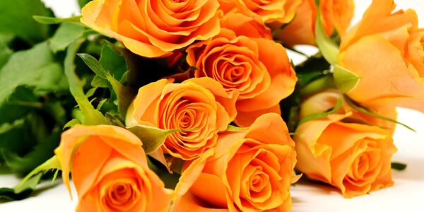 Kwiaty B2B - jak działa rynek hurtowy kwiatów?